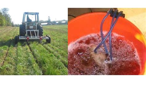 Building Healthy Living Soil for Plant and Planet Health, March 6 2023 ...