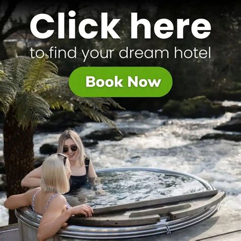 IRISH DOODLE: dog breed personality and all you need to KNOW