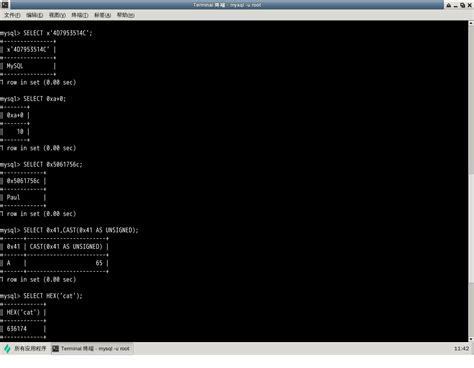 MySQL Code 的图像结果
