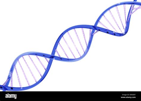 Image result for DNA and Computer Code