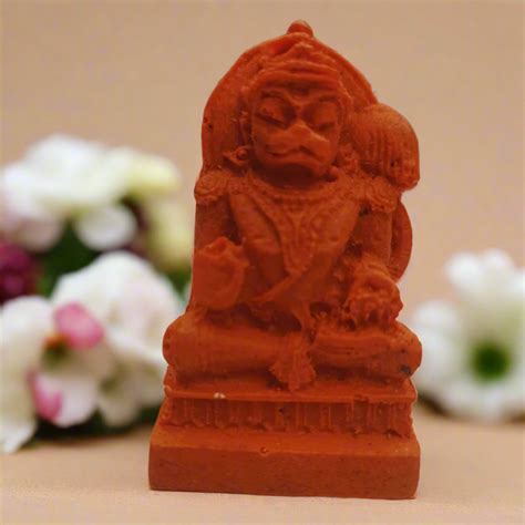 Hanuman Miniature – Plant Orbit