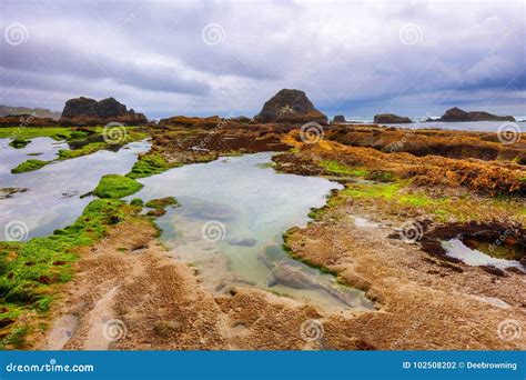 Seal Rock Beach on the Oregon Coast Stock Photo - Image of nothwest ...