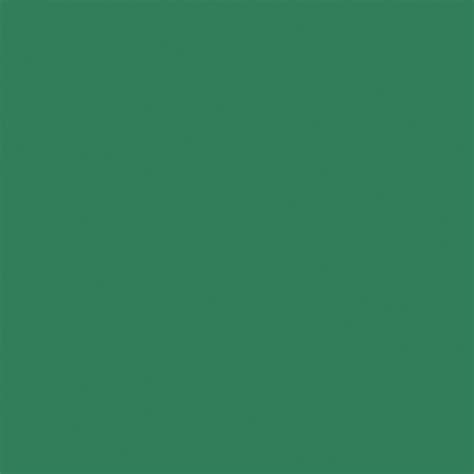 Bazzill Card Shoppe Heavyweight Cardstock 12"X12"-Evergreen - Walmart.com