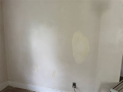 Screen Repair Plaster Wall