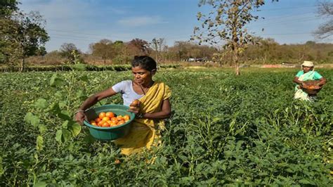 India's food retail market to touch Rs 62 lakh crore by 2023: SBI ...