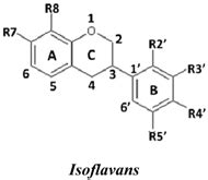 Structure and Antioxidant Activity Relationships of Isoflavonoids from ...