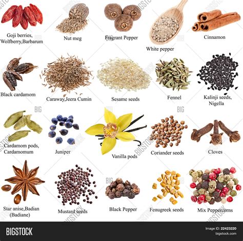 Spices Names