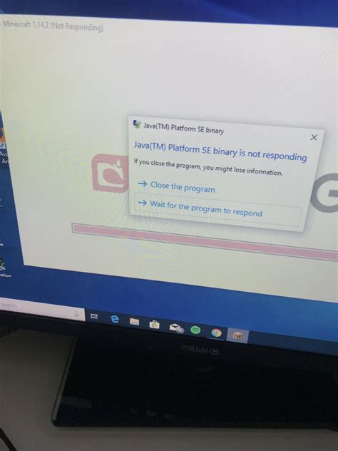 Minecraft Java Runtime Crash 的图像结果