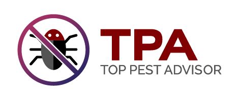 Top Pest Control Services Near Me | Pest Control Treatment India