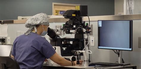 Egg Donation – Ohio Reproductive Medicine