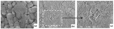 Mechanistic Study of Pb2+ Removal from Aqueous Solutions Using Eggshells