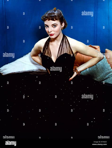 Joan Collins Film Portraits cira 1950-1958 Hollywood Photo Archive ...