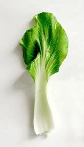 Farmonix Organic Pak Choi, Bok Choy - Brassica rapa chinensis Seed ...