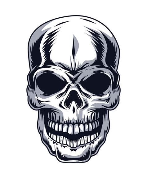 Skull Vector 的图像结果