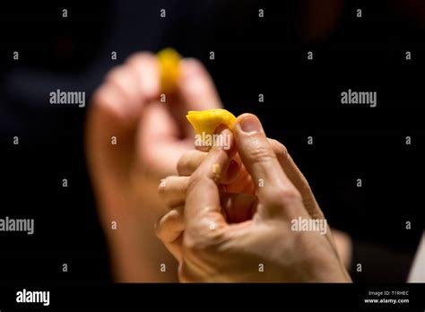 Image result for Two Italian Cooking Show