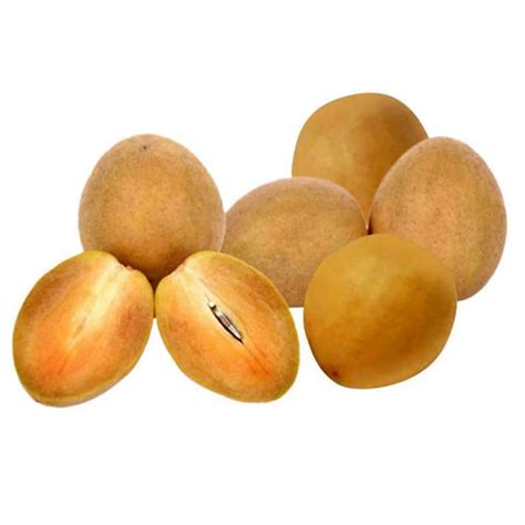 Outdoor Plants – Nursery Kart