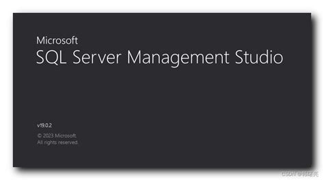 SQL Server Management Studio 的图像结果