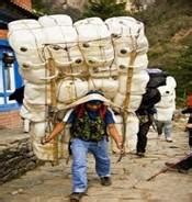 Daily Vocabulary Words 03 January 2024: Improve Your Vocab