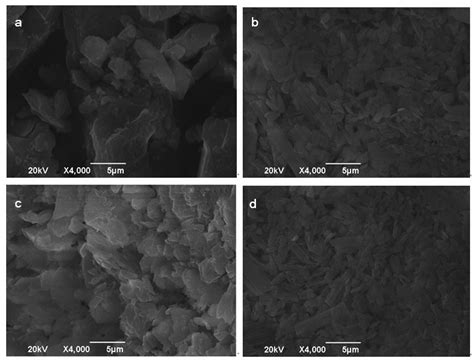 Inclusion Complexes of Lycopene and β-Cyclodextrin: Preparation ...