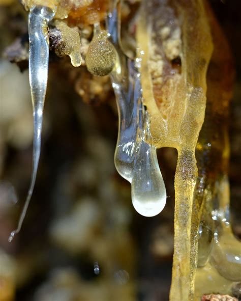 How to get gum out of hair with peanut butter – Artofit