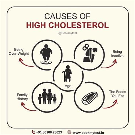 What Causes High Cholesterol