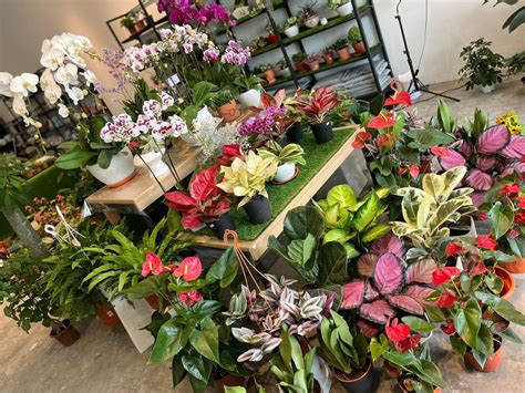 Mini Moss Terrarium , 48, Jalan Eco Majestic 10/1B, Eco Majestic ...