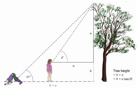 Exploring the interface of ecology, mathematics, and digital making ...