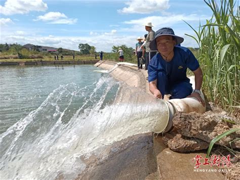 衡阳市人民政府门户网站-问禾哪得青如许，为有应急引水来——把一渠清水灌进稻农的“心田”