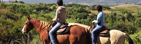 That one time I was the ass on the horse track in wondrous Doon