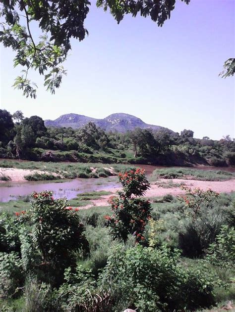 Gauteng Tourism (2024): All You Need to Know Before You Go