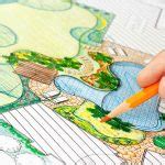 Image result for Softshell Turtle Tank