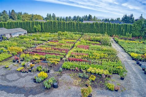 Contractor Services – Kent's Nursery