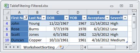 Excel Filtering Tables 的图像结果