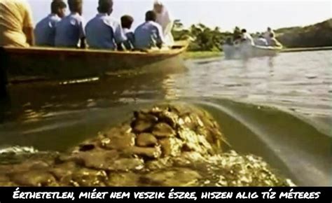 Killer Crocodile 2 - Gyilkos krokodil 2 (1990) - CreepyShake.com