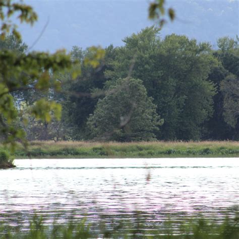 Goose Island Camping | The Dyrt