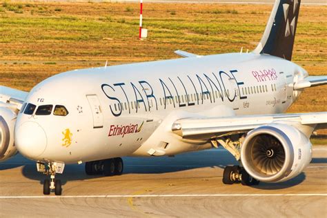 Which African Airlines Are Part of The 3 Major Alliances?