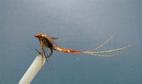 Simple Nymph Patterns Mayfly 的图像结果