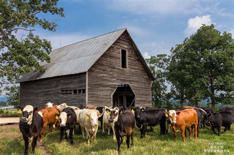 大农业 的图像结果