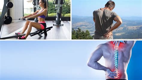 Image result for Exercise Machine for Back Pain