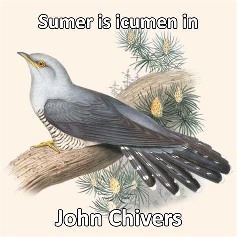 John Chivers - Music