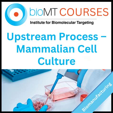 Image result for Upstream Manufacturing Process