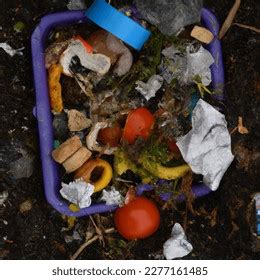 Biological Waste 的图像结果