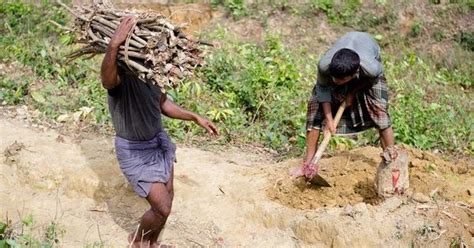 The Rohingya refugee crisis has brought an environmental crisis in ...