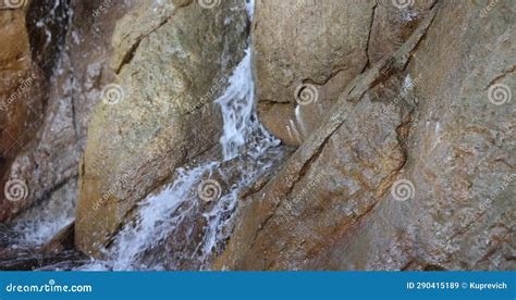 Clean Water Sources 的图像结果