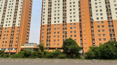 Over 4,600 Flats of Beneficiary-led Housing Scheme Inaugurated in Tamil ...