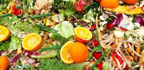 Growing Trend to Reduce and Regulate Organic Waste