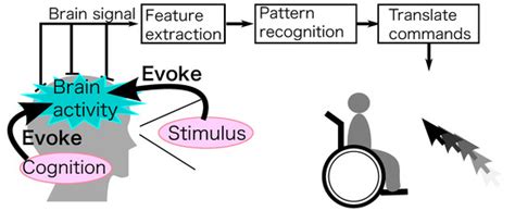 An Introductory Tutorial on Brain–Computer Interfaces and Their ...