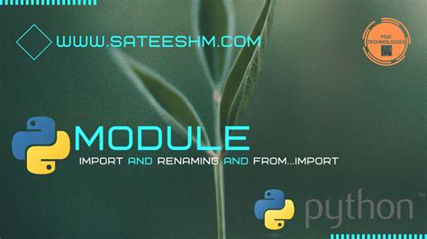 Image result for Python Module