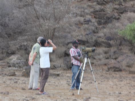BIRDWATCHING KENYA - All You Need to Know BEFORE You Go 2026 (with ...
