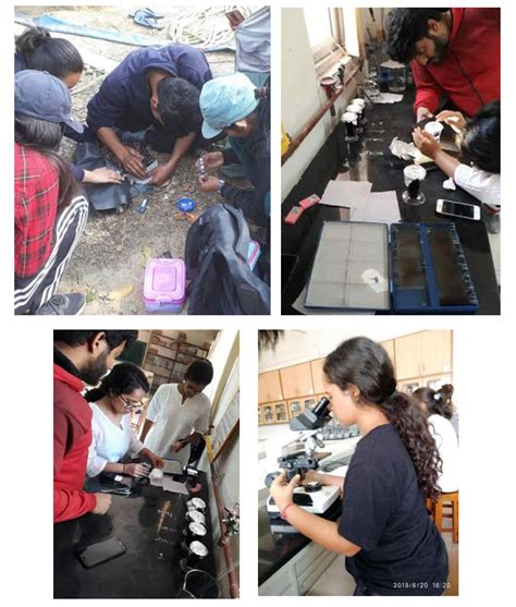 RAPTOR RESEARCH AND CONSERVATION FOUNDATION